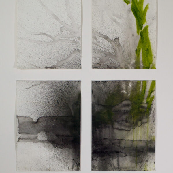 Suezo, Grid 8, 2025, china ink and oil stick on 4 paper sheets, overall 89 x 64 cm