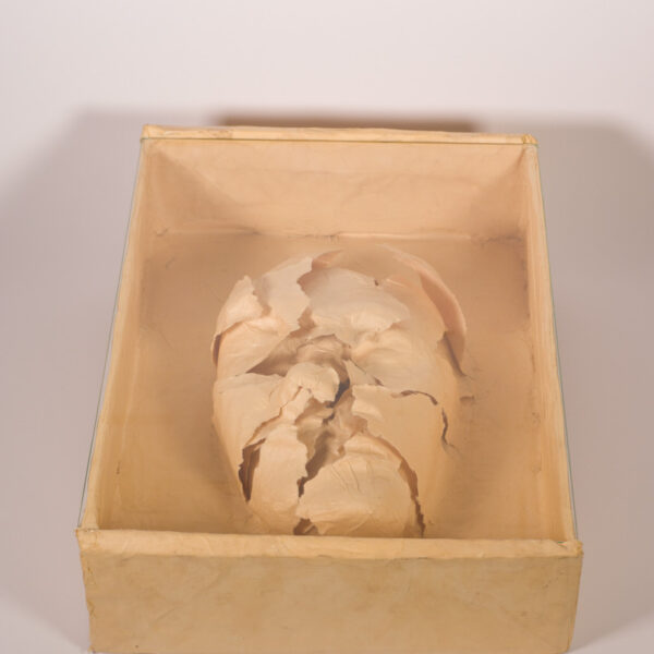 Suezo, Psychoanalytic Composition, 2019, buff paper, cardboard and glass, 40 x 29 x 10,5 cm